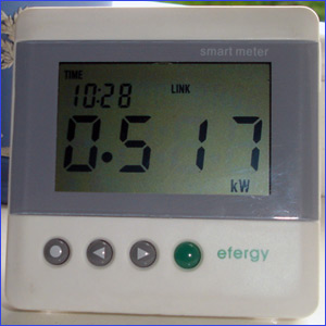 The Smart Meter