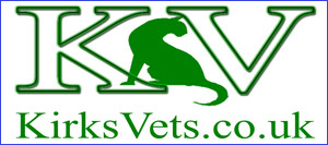 Kirk's Vets